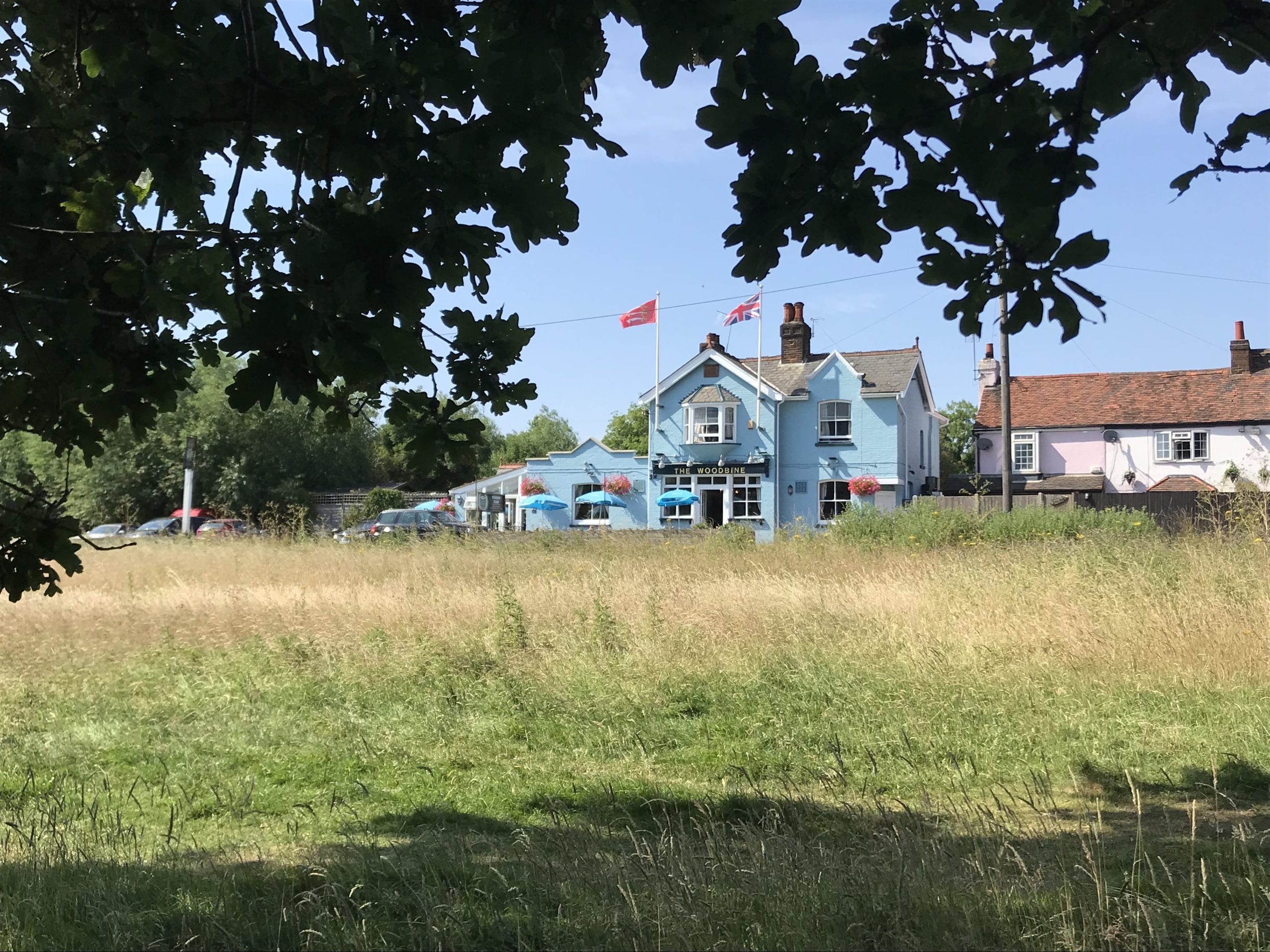 Woodbine Inn London Essex Rover Dogfriendly Pub Awards