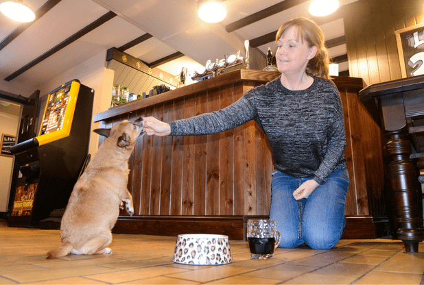 The Poundffald Inn Wales Swansea | Rover Dog-friendly Pub Awards