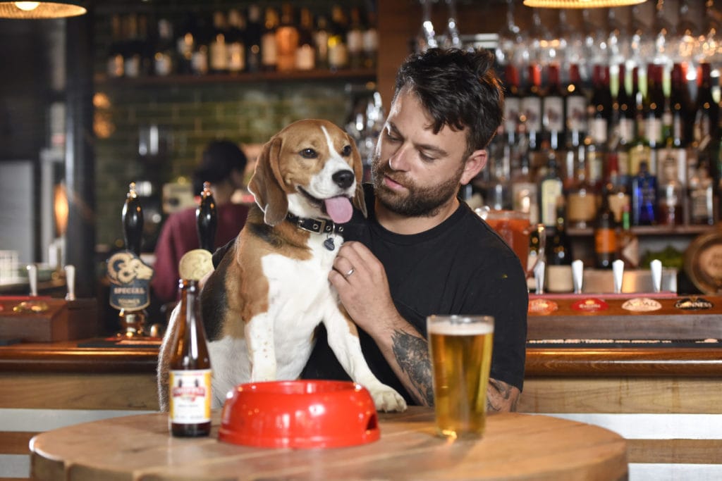 What Are The Rover Dog-friendly Pub Awards? | Rover Dog-friendly Pub Awards